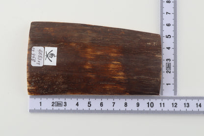 Brown mammoth bark