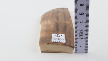 Brown-caramel mammoth bark