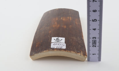 Brown mammoth bark