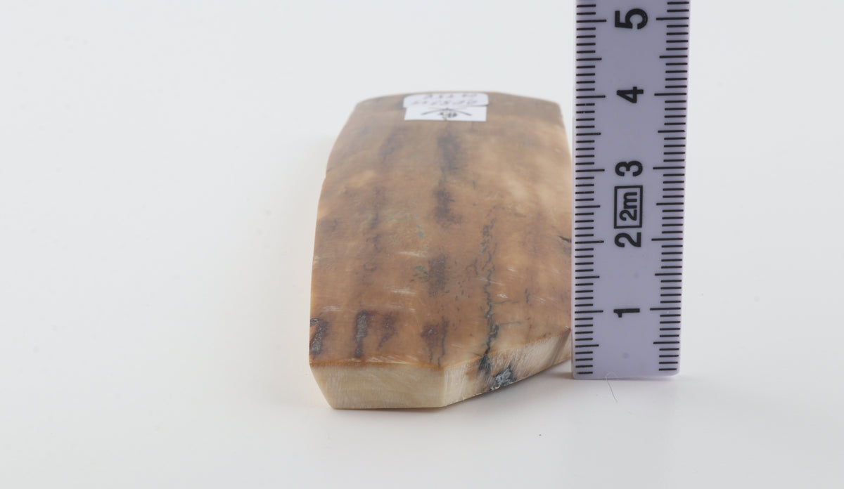 Brown-caramel mammoth bark