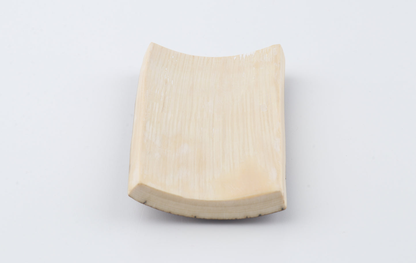 Brown mammoth bark