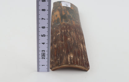 Natural woolly mammoth bark