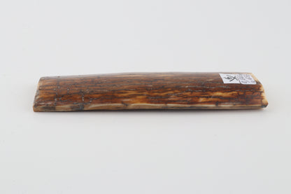 Caramel woolly mammoth bark