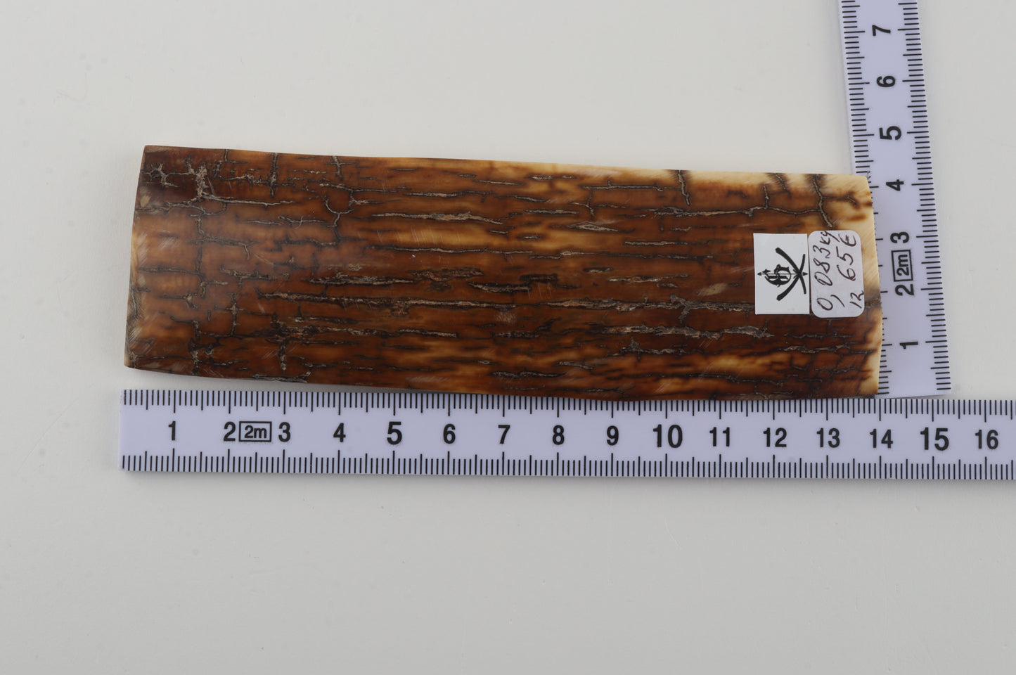 Caramel woolly mammoth bark