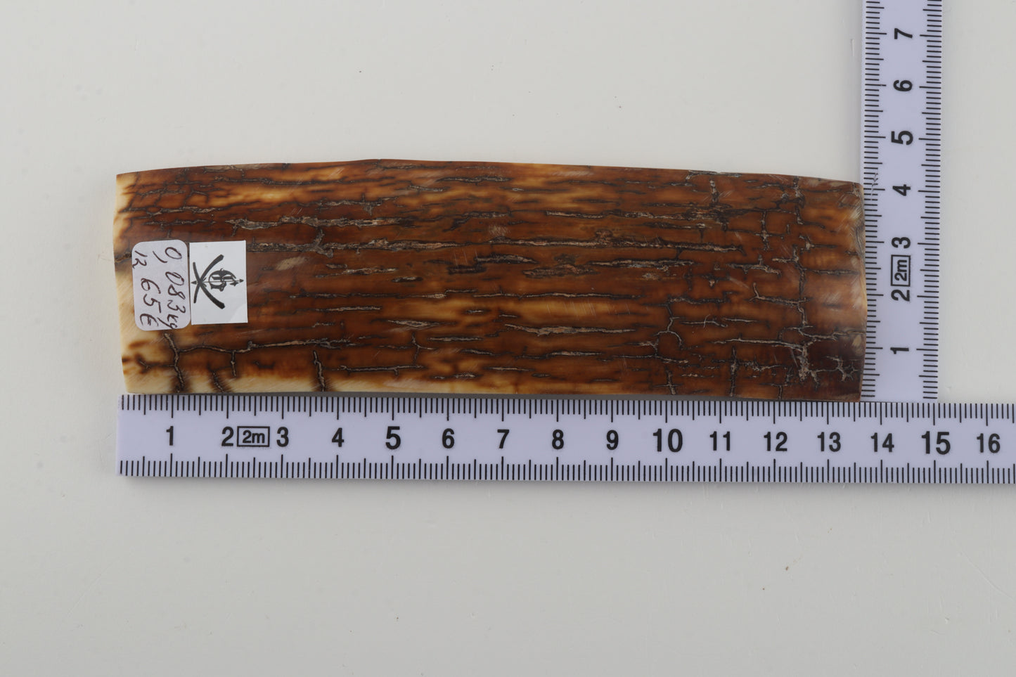 Caramel woolly mammoth bark