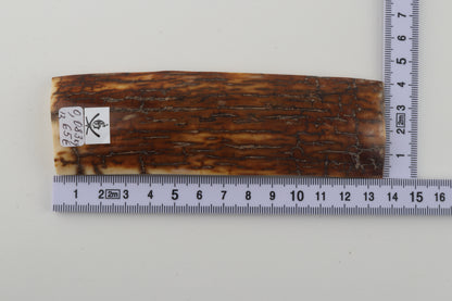 Caramel woolly mammoth bark