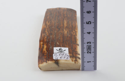 Caramel woolly mammoth bark