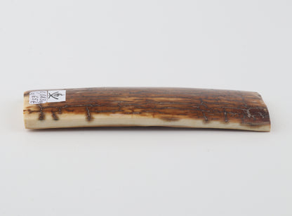 Caramel woolly mammoth bark