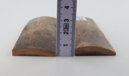 Natural mammoth bark scales