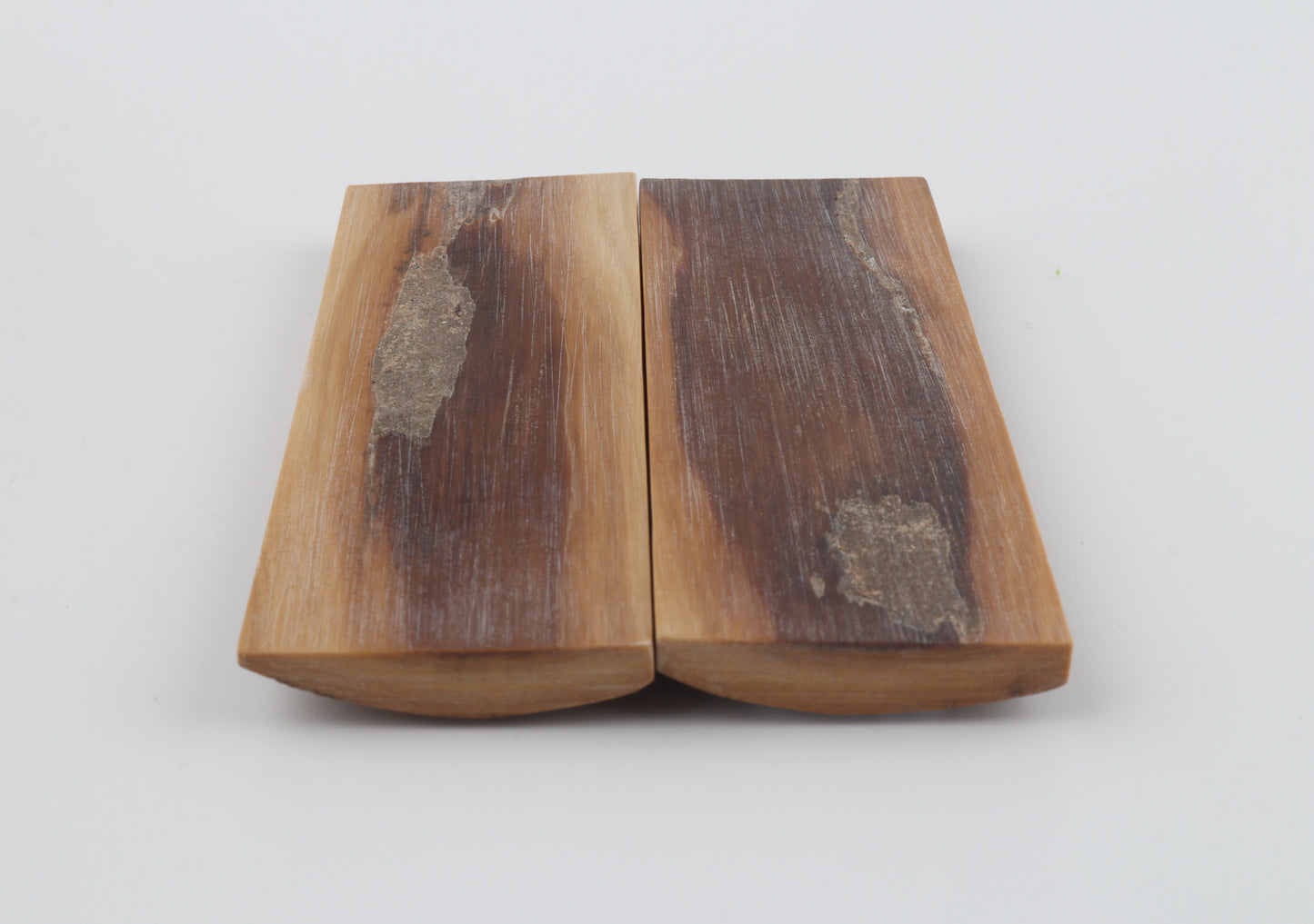 Natural mammoth bark scales