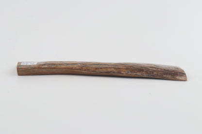 Brown-creme mammoth bark