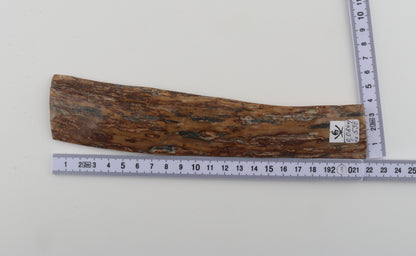 Brown-creme mammoth bark