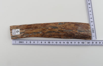 Brown-creme mammoth bark