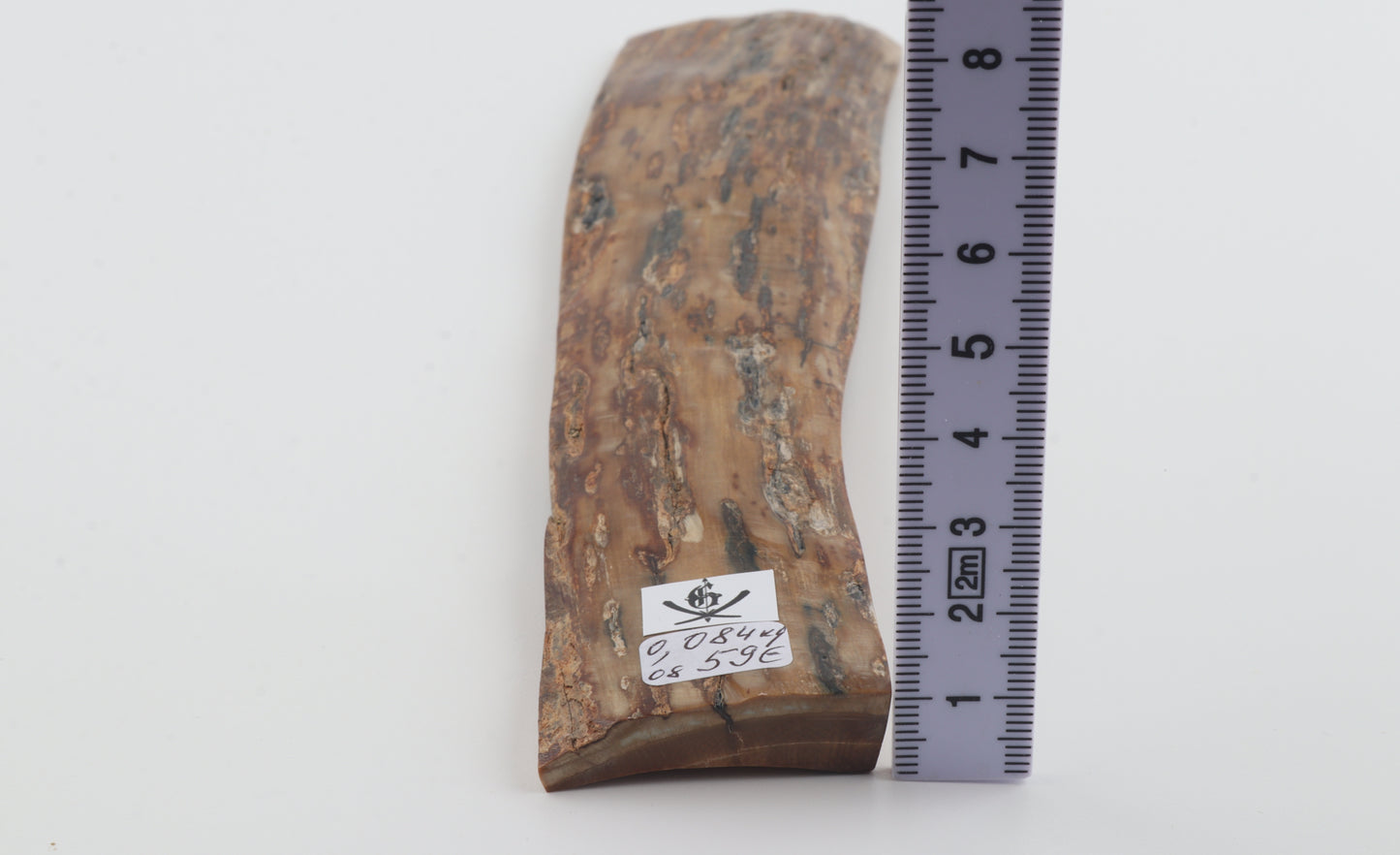 Brown-creme mammoth bark