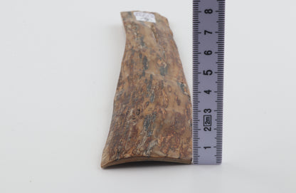 Brown-creme mammoth bark