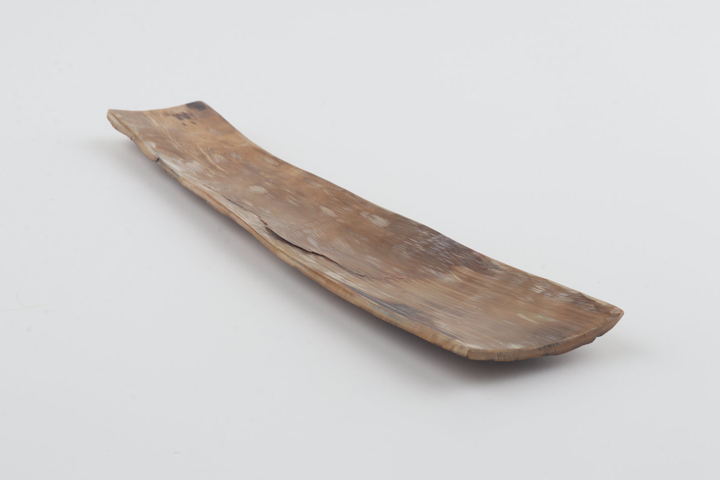 Brown-creme mammoth bark
