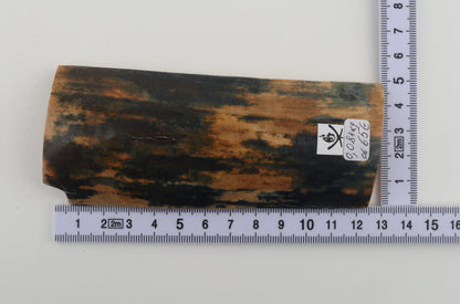Blue-mustard mammoth bark