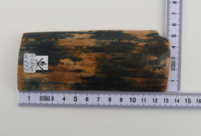Blue-mustard mammoth bark