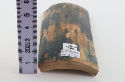 Blue-mustard mammoth bark