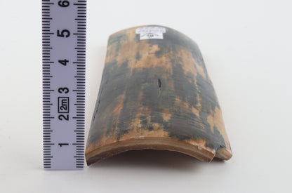 Blue-mustard mammoth bark