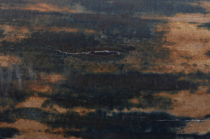 Blue-mustard mammoth bark
