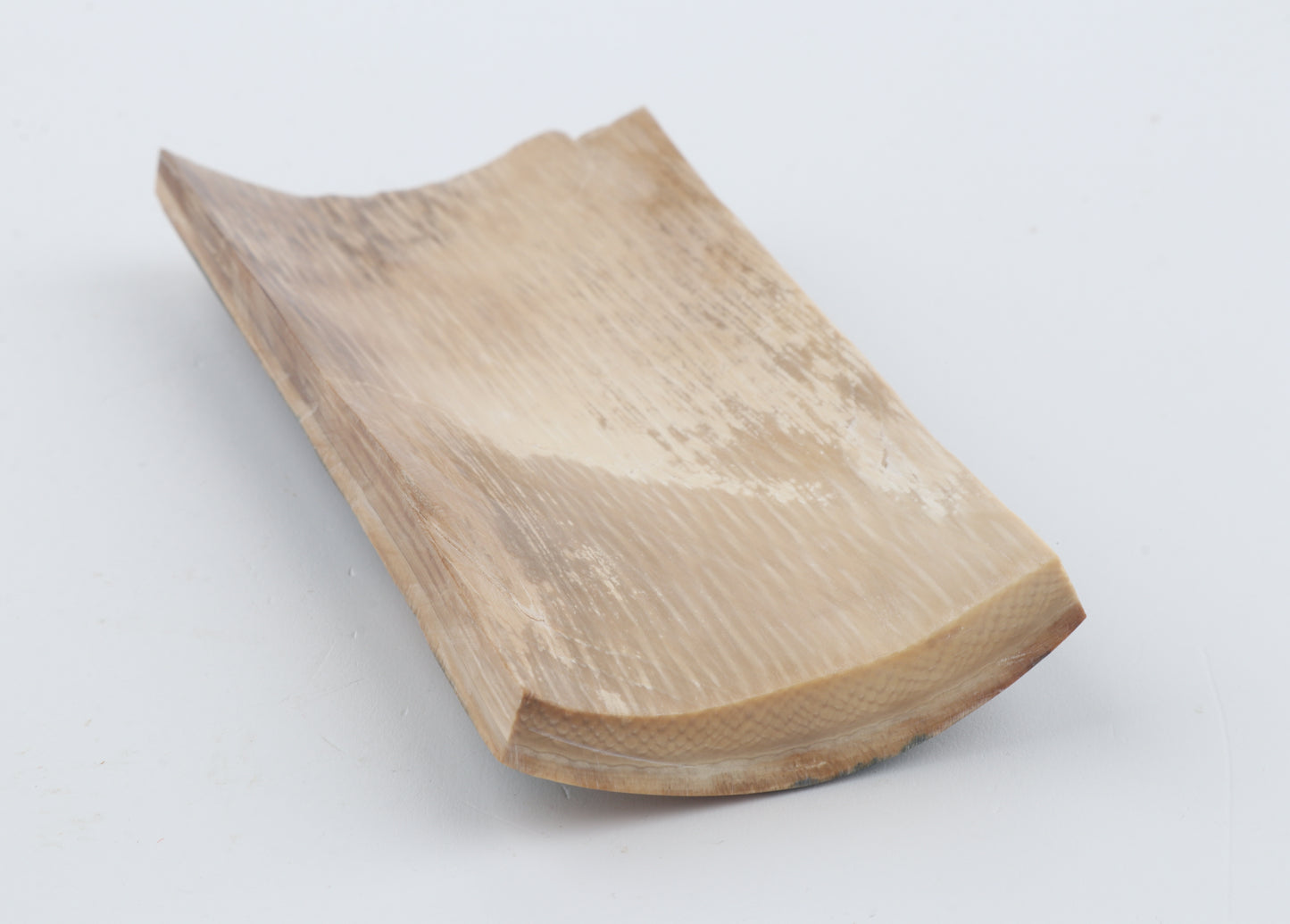 Blue-mustard mammoth bark