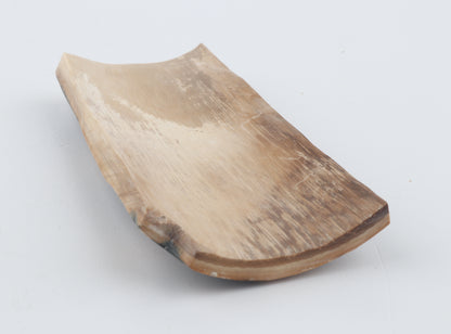 Blue-mustard mammoth bark