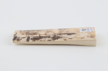 White-grey mammoth bark