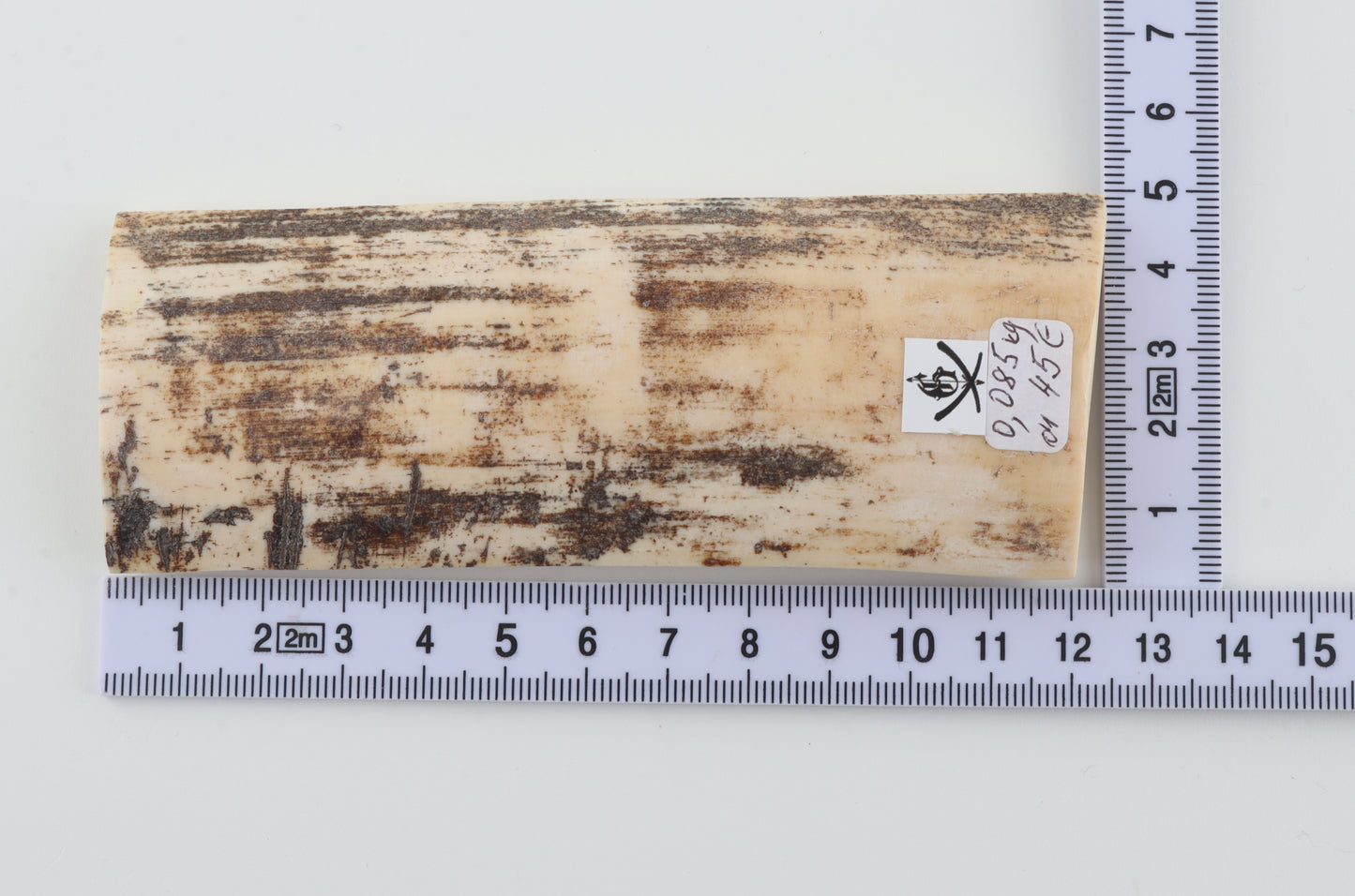 White-grey mammoth bark