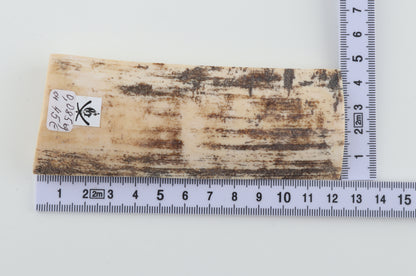 White-grey mammoth bark