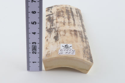 White-grey mammoth bark