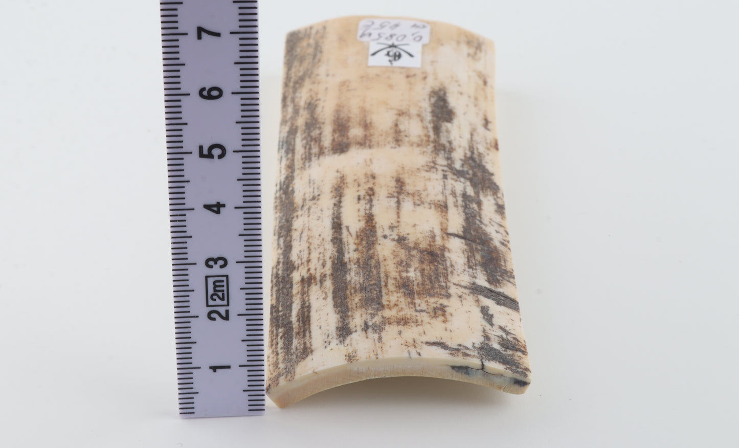 White-grey mammoth bark