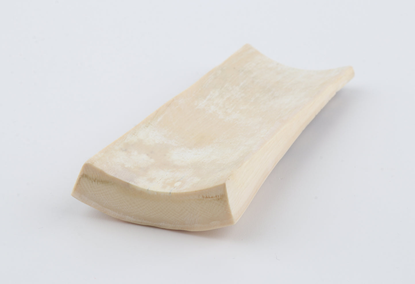 White-grey mammoth bark