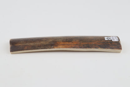 Natural woolly mammoth bark