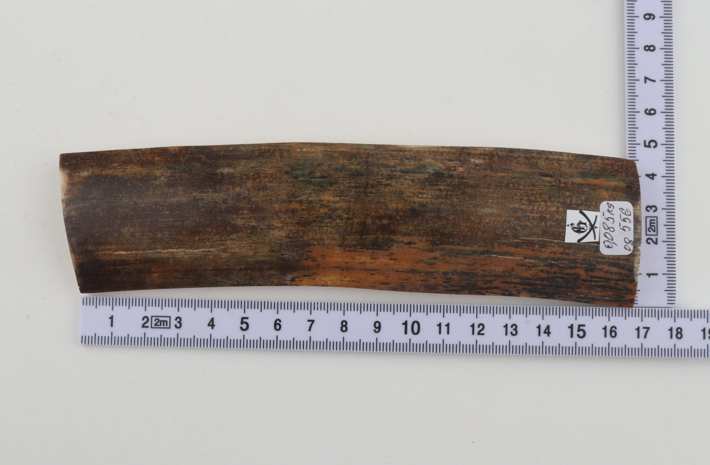 Natural woolly mammoth bark