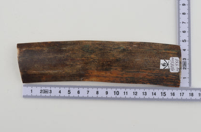 Natural woolly mammoth bark