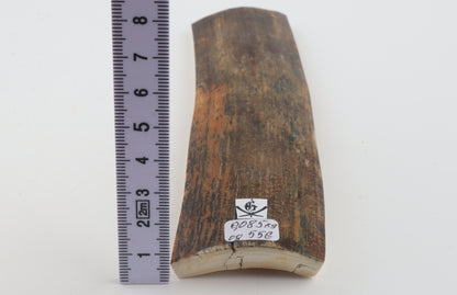 Natural woolly mammoth bark