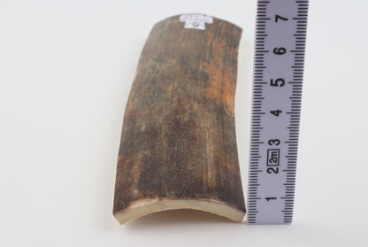 Natural woolly mammoth bark