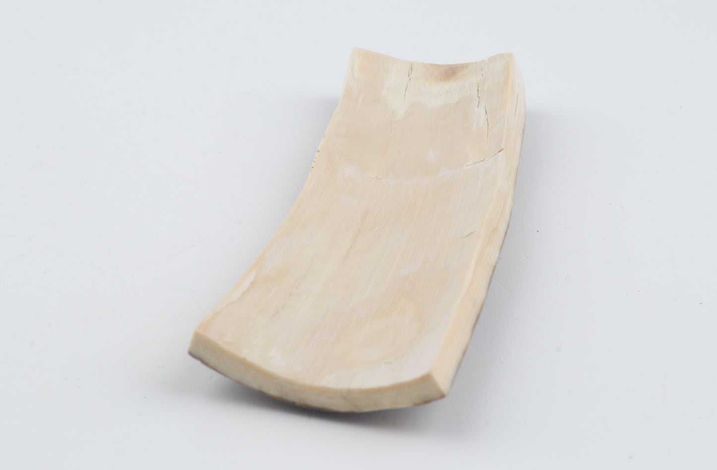 Natural woolly mammoth bark