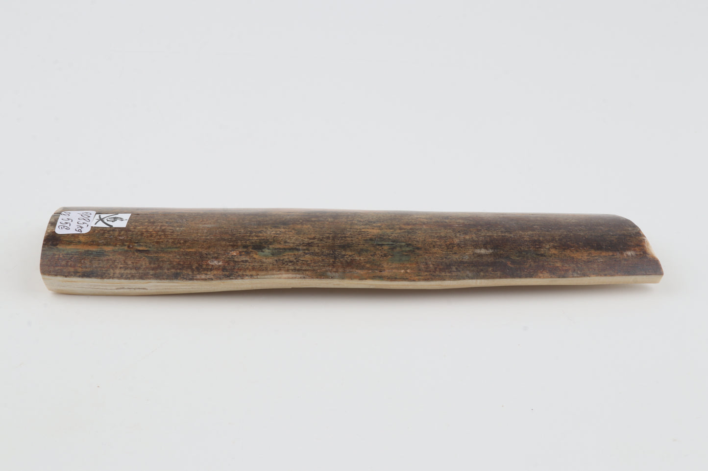 Natural woolly mammoth bark