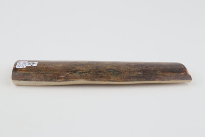 Natural woolly mammoth bark