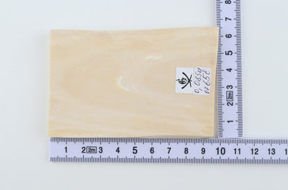 White mammoth ivory segment