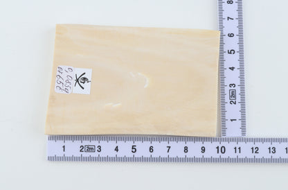 White mammoth ivory segment