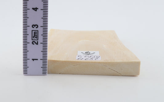 White mammoth ivory segment