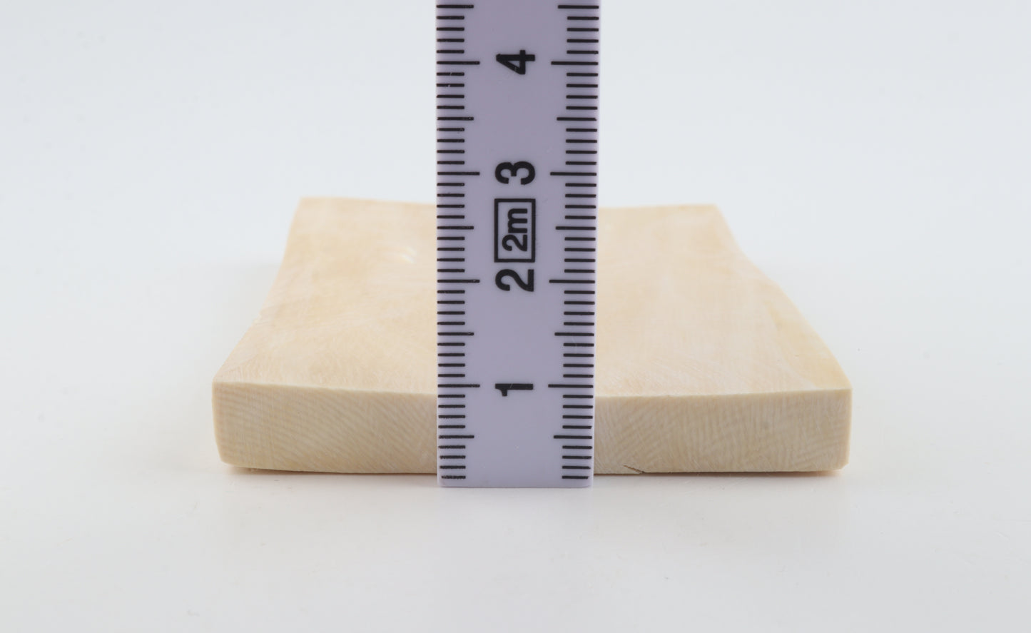 White mammoth ivory segment
