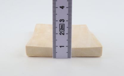 White mammoth ivory segment