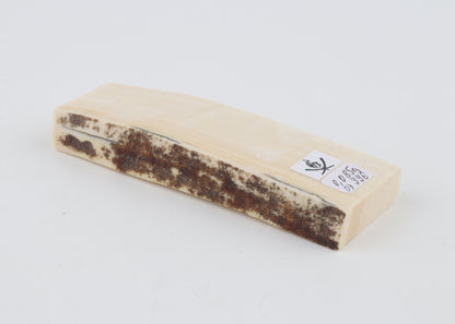 White mammoth ivory segment