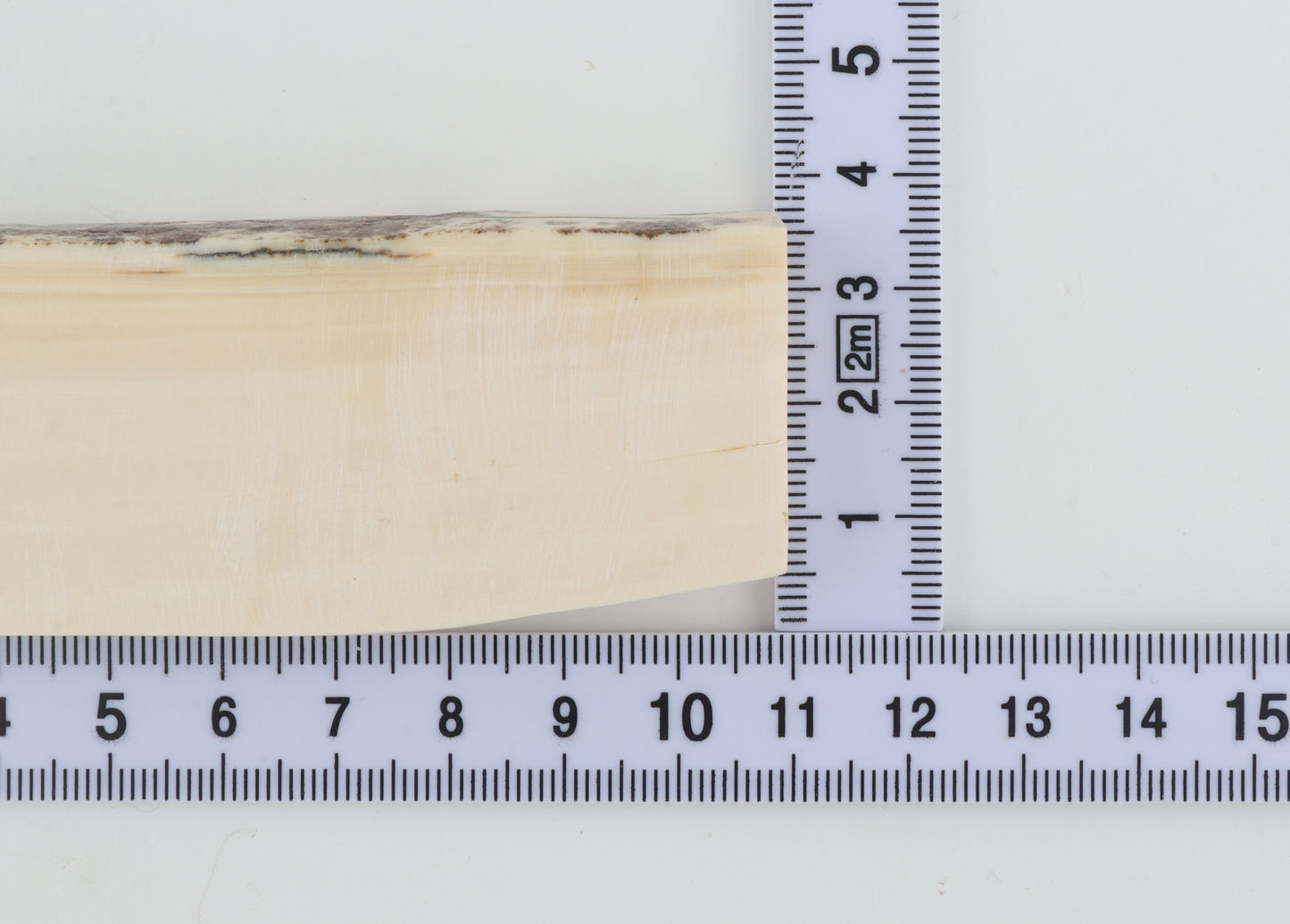 White mammoth ivory segment