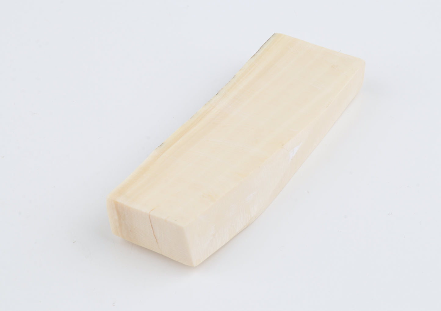 White mammoth ivory segment