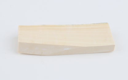 White mammoth ivory segment